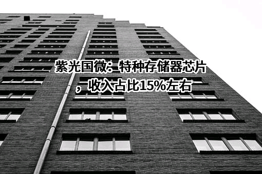 紫光国芯微电子股份有限公司