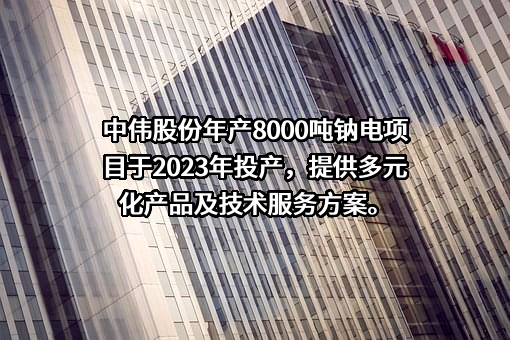中伟新材料股份有限公司