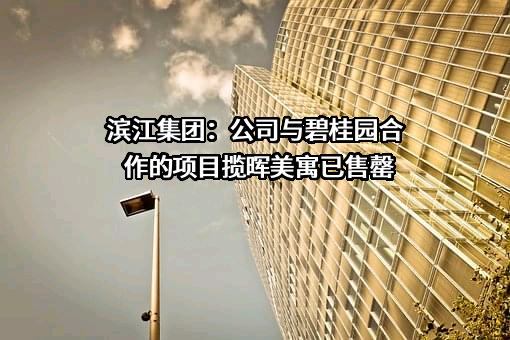 杭州滨江房产集团股份有限公司