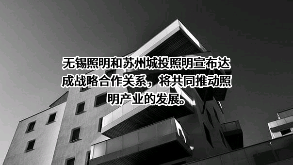 无锡照明股份有限公司
