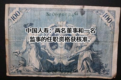 中国人寿保险（集团）公司