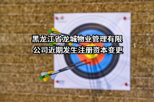 黑龙江省龙城物业管理有限公司