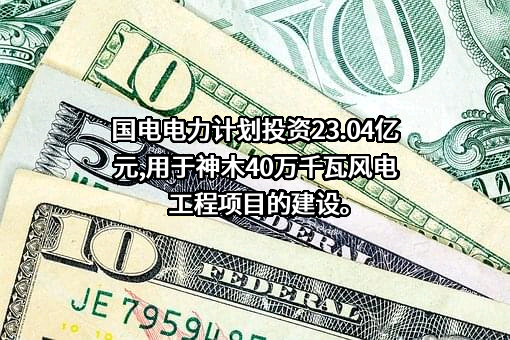 国电电力发展股份有限公司