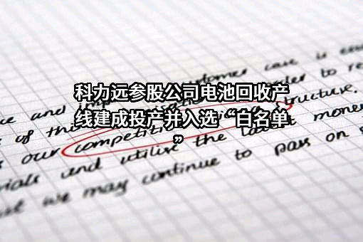 湖南科力远新能源股份有限公司