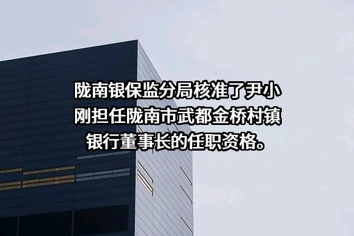 陇南市武都金桥村镇银行股份有限公司
