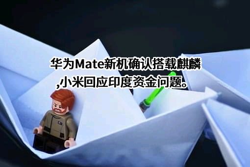 华为技术有限公司