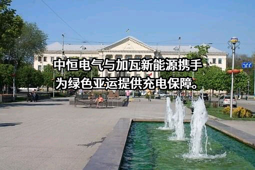杭州中恒电气股份有限公司