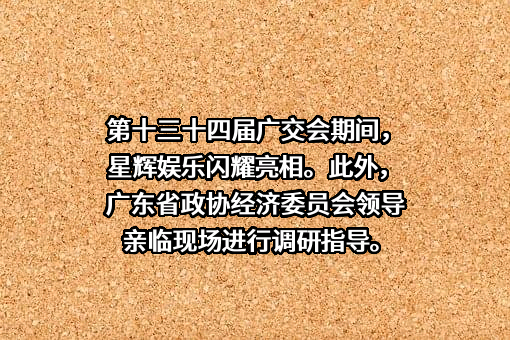 星辉互动娱乐股份有限公司