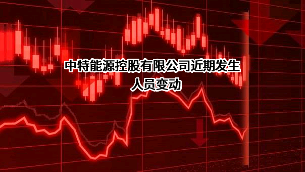 中特能源控股有限公司