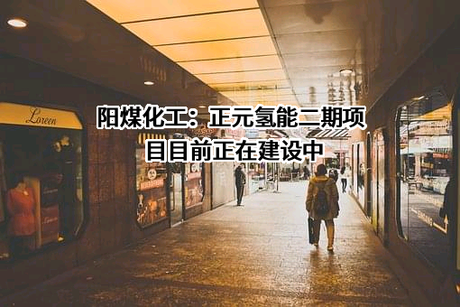 阳煤化工股份有限公司