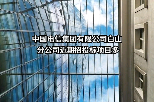 中国电信集团有限公司白山分公司