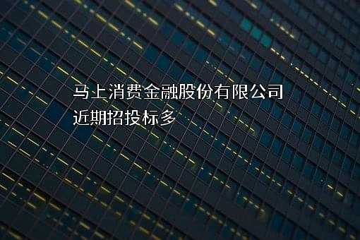 马上消费金融股份有限公司