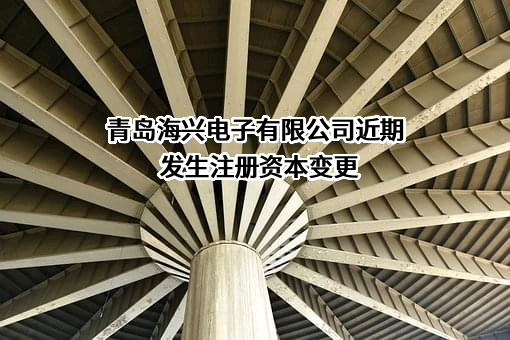 青岛海兴电子有限公司