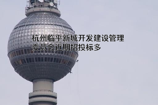 杭州临平新城开发建设管理委员会