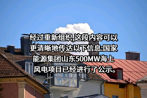 国家能源投资集团有限责任公司