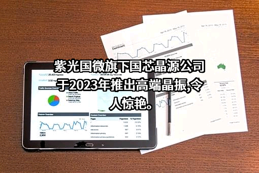 紫光国芯微电子股份有限公司