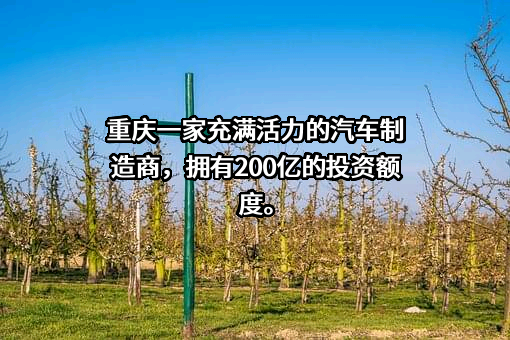 重庆长安汽车股份有限公司