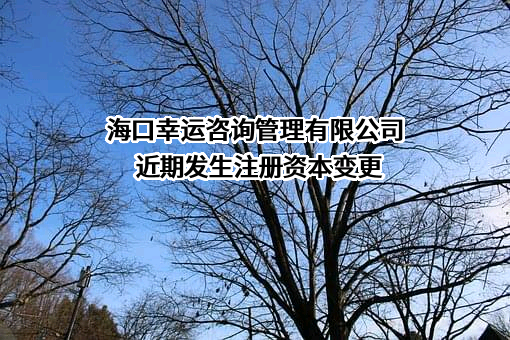 海口幸运咨询管理有限公司