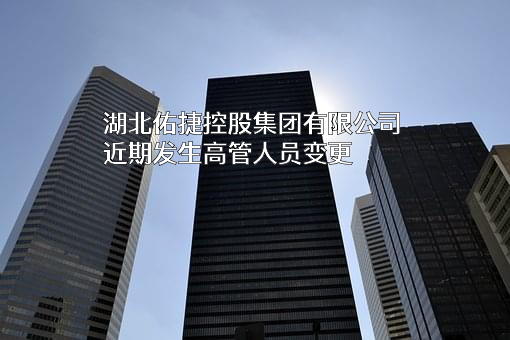 湖北佑捷控股集团有限公司