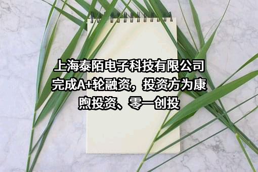 上海泰陌电子科技有限公司