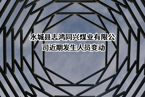 水城县志鸿同兴煤业有限公司