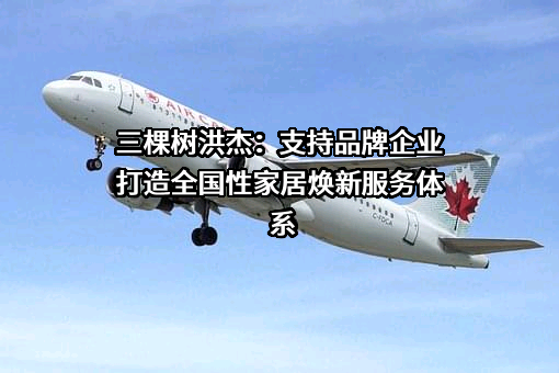 三棵树涂料股份有限公司