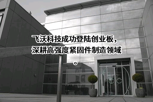 湖南飞沃新能源科技股份有限公司
