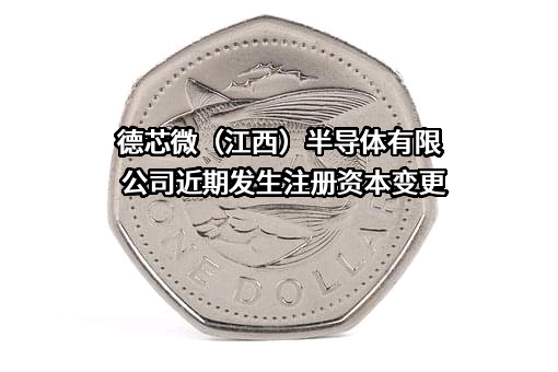 德芯微（江西）半导体有限公司