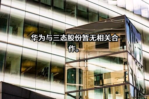 华为技术有限公司