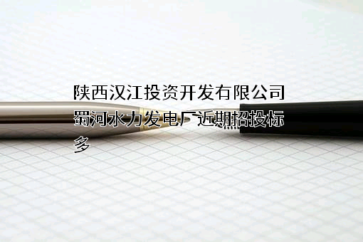 陕西汉江投资开发有限公司蜀河水力发电厂