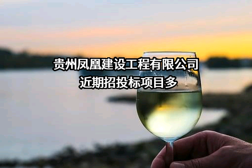 贵州凤凰建设工程有限公司