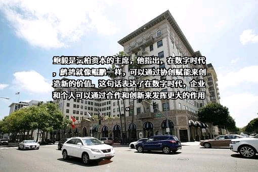 上海沄柏投资管理有限公司