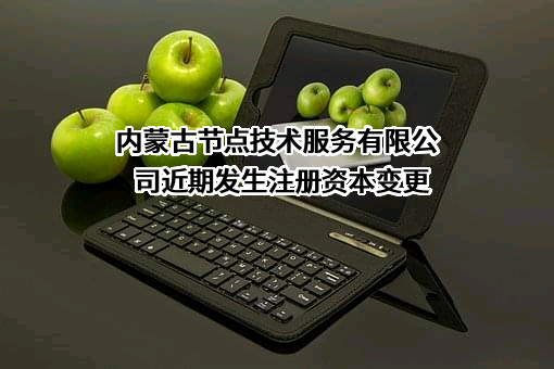 内蒙古节点技术服务有限公司