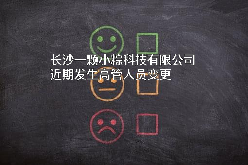 长沙一颗小粽科技有限公司