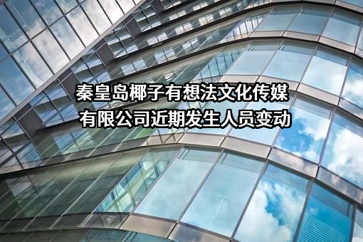 秦皇岛椰子有想法文化传媒有限公司