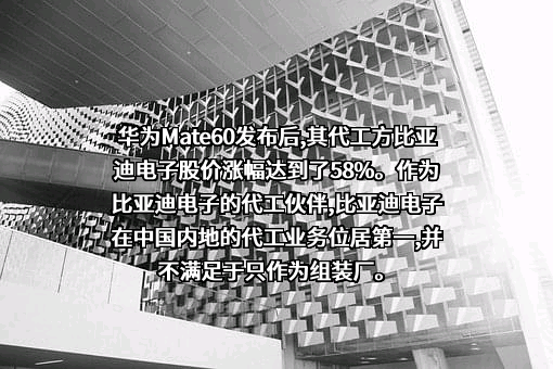 比亚迪电子（国际）有限公司