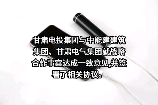 甘肃省电力投资集团有限责任公司