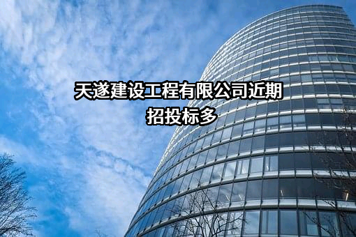 天遂建设工程有限公司
