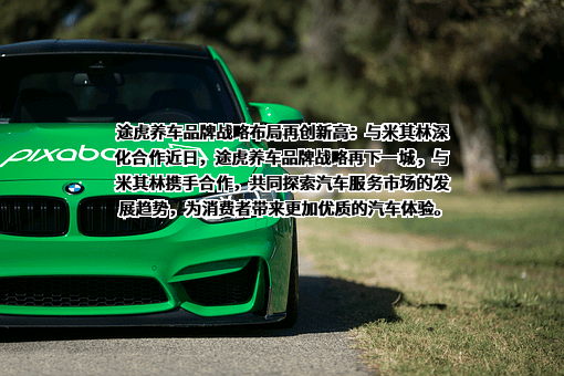上海阑途信息技术有限公司