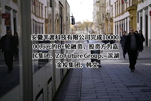 安徽苇渡科技有限公司