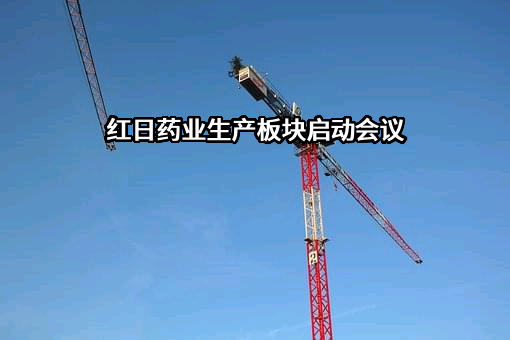 天津红日药业股份有限公司