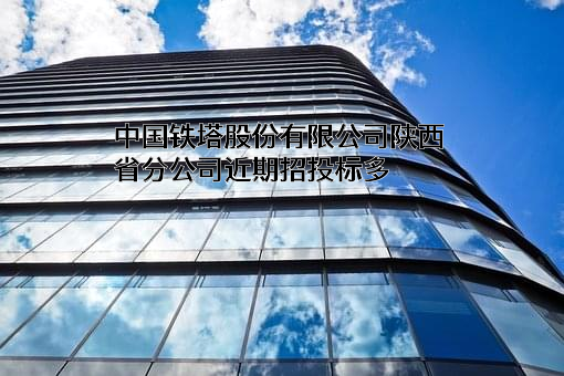 中国铁塔股份有限公司陕西省分公司