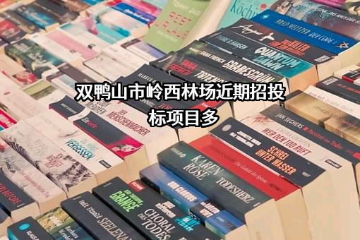 双鸭山市岭西林场