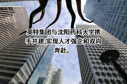 浙江英特集团股份有限公司