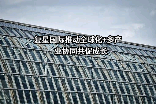 复星国际有限公司
