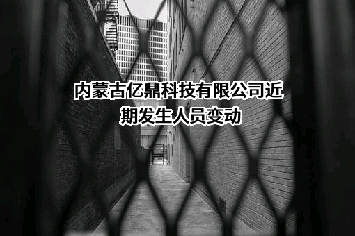 内蒙古亿鼎科技有限公司