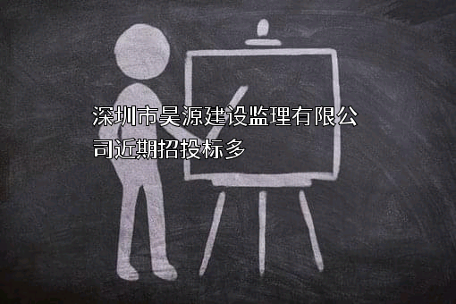 深圳市昊源建设监理有限公司