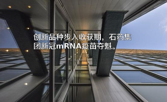 石药控股集团有限公司