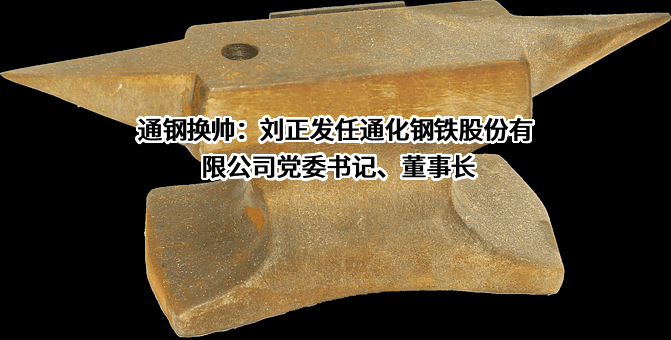 通化钢铁股份有限公司