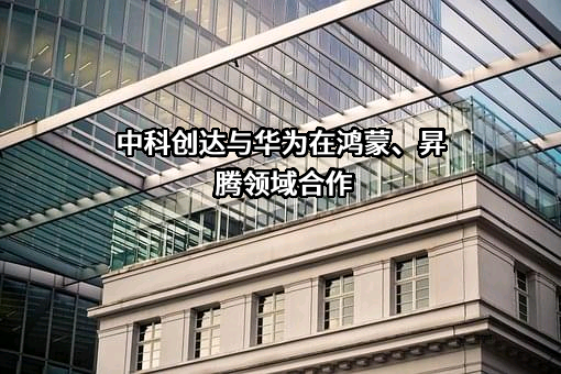 华为技术有限公司